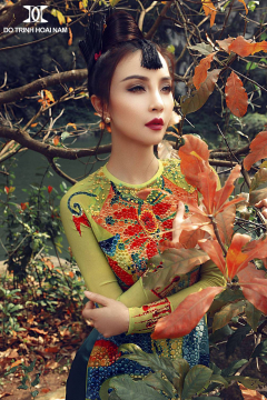 BST GIẤC MƠ 5
