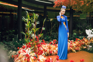 Hoàng Hoa 9