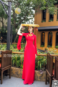 Hoàng Hoa 10