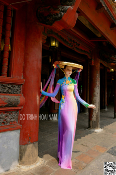 Hoàng Hoa 12