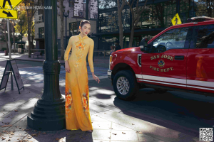 Tinh Hoa Lụa Việt 007