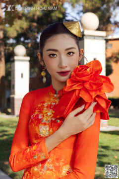 TINH HOA LỤA VIỆT 019